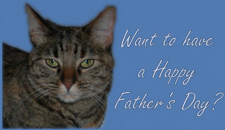 Father's Day Cat