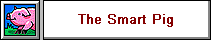 The Smart Pig