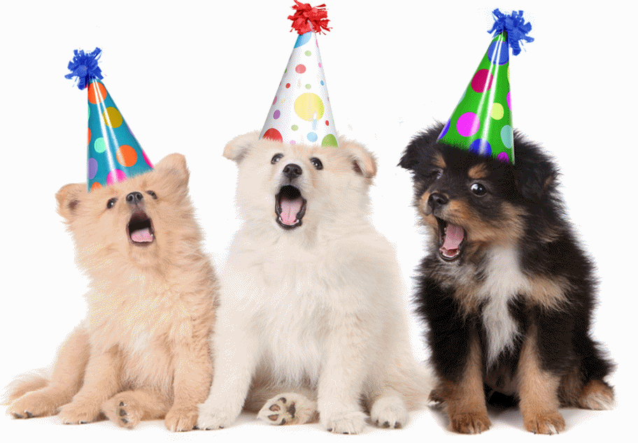 Dogs Singing Happy Birthday