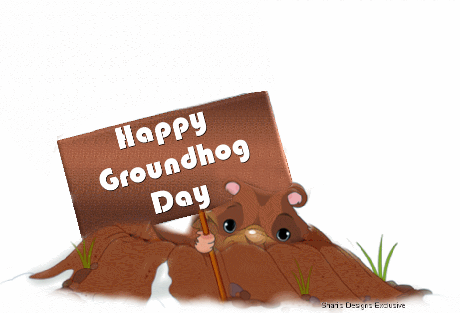 The Obnoxious Groundhog