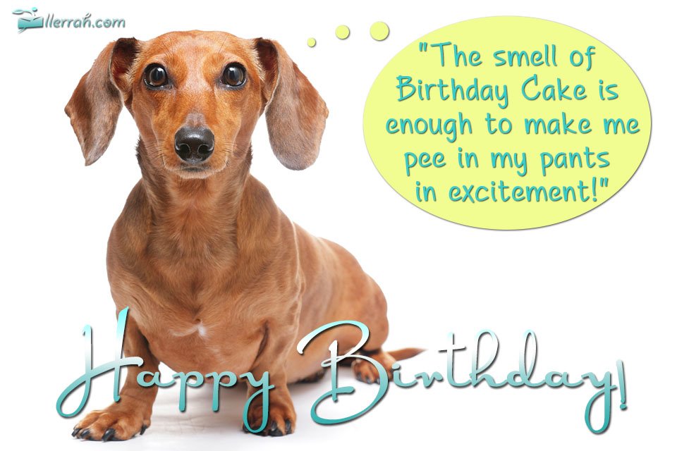 free dachshund birthday clip art - photo #17