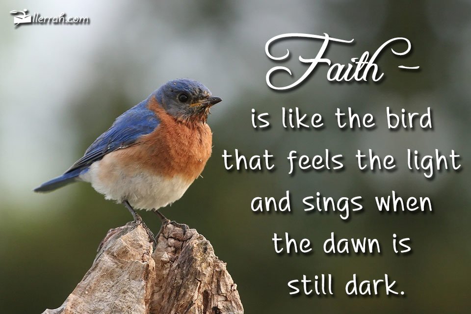 faith-is-like