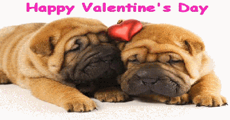 A Valentine Picture Puzzle