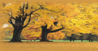 Autumn Blessings