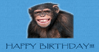 Birthday Wisdom