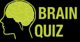 Brain Quiz
