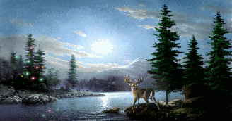 Christmas Blessings