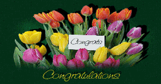Congratulations Flowers