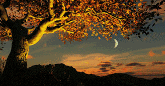 Fly Me to the Moon