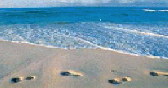 Footprints in the Sand