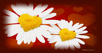 Friendships Flower