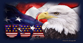 God Bless the USA