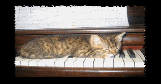 God's Purr-fect Creation 