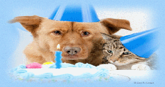 Have a Happy Birthday