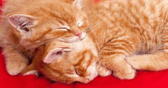Hugs And Kisses For Father's Day