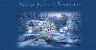 I'll Be Home for Christmas