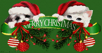 Jingle Cats perform Rudolph