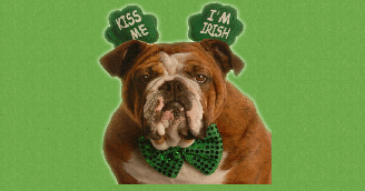 Kiss Me, I'm Irish