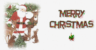 Merry Christmas (Add up to 4 photos)
