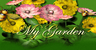 My Garden 