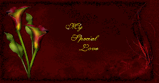 My Special Love