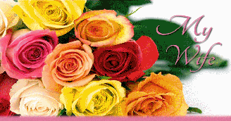 To My Wife 