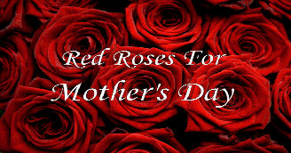 Red Roses for Mother's Day