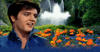 Spring Fever