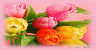 Spring Wishes