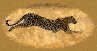 The Poodle and the Leopard