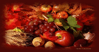 Wishing You a Happy Thanksgiving