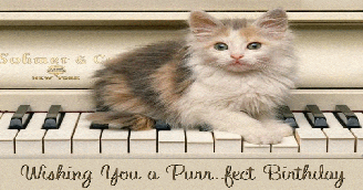 Wishing you a Purrfect Birthday