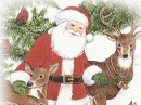 Christmas Cards