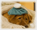 Get Well Cards