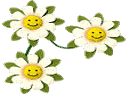 Spring Cards