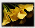 Sympathy Cards