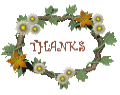 Thank You Cards
