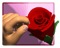 Valentine's Day Cards