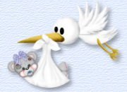 baby girl stork
