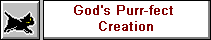 Gods Purr-fect Creation