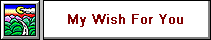 My Wish For You