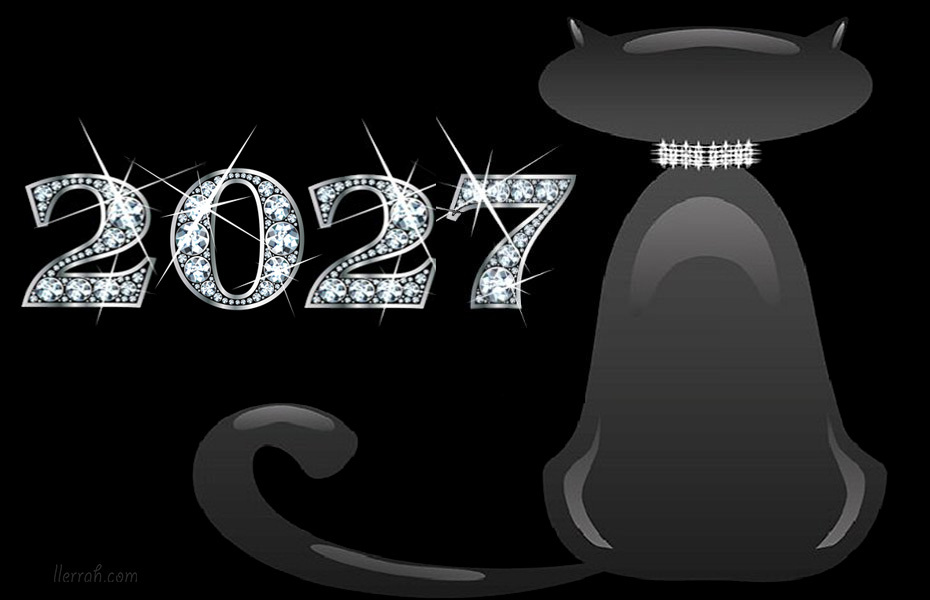 New Year Cats