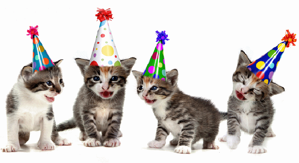 Kitten's Singing Happy Birthday