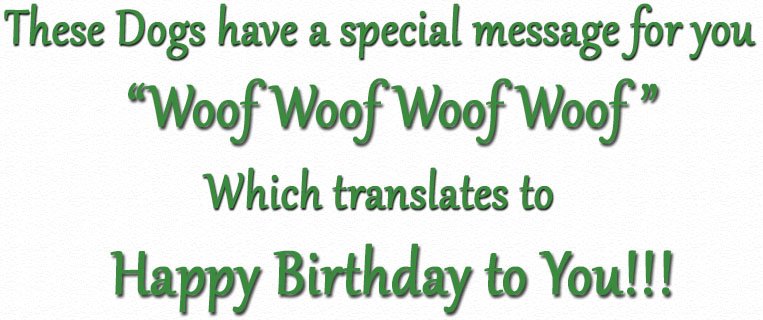 These Dogs Have a special message for you. Woof Woof Woof Woof which means Happy Birthday to You!