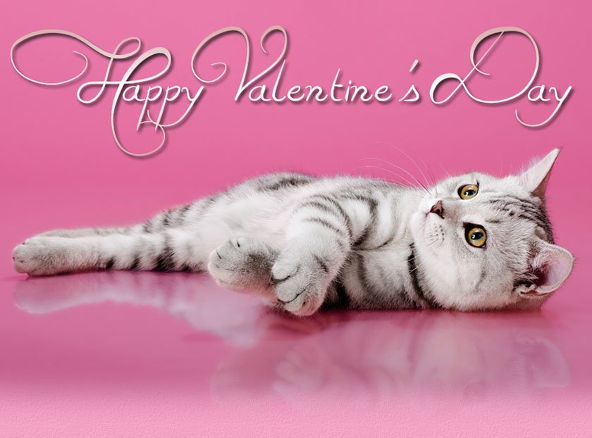 Kitty valentine pictures