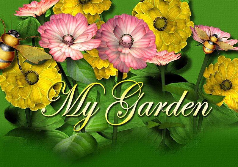 My Garden