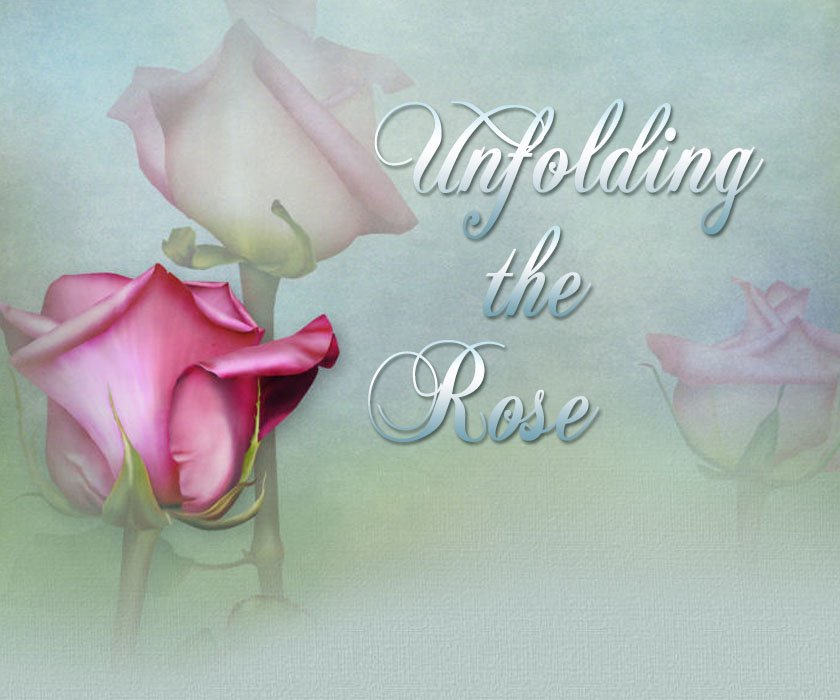 Unfolding the Rose