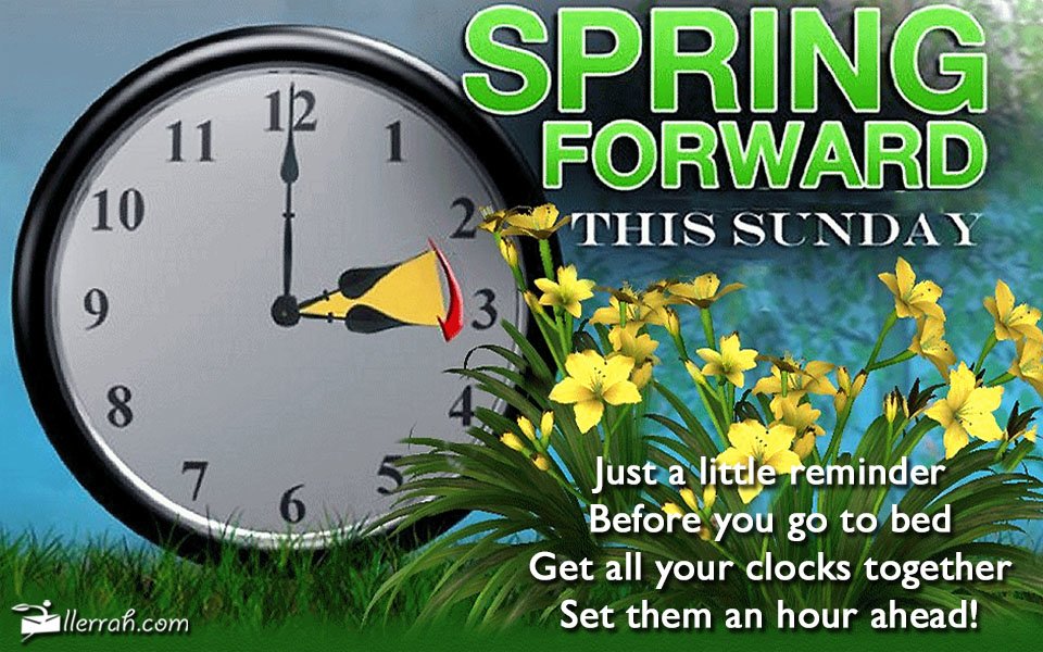 Clock Spring Forward 2024 Cindi Mallissa